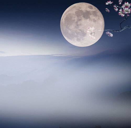 從前明月光古詩句一