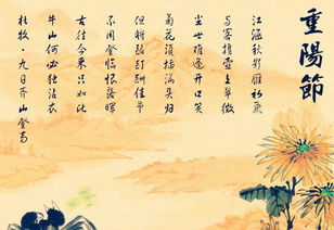 關于重陽節(jié)登高的古詩的詩句