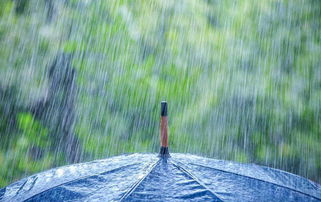 寫大雨滂沱的古詩,描寫大雨滂沱的古詩,大雨滂沱對應的下句