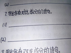 含有對(duì)比的詩(shī)句古詩(shī)