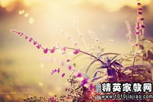 表達(dá)青春美好的詩(shī)句,祝愿青春美好的詩(shī)句,寫(xiě)青春美好的詩(shī)句