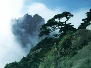 黃山,詩句