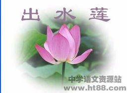 關(guān)于蓮的有名詩句