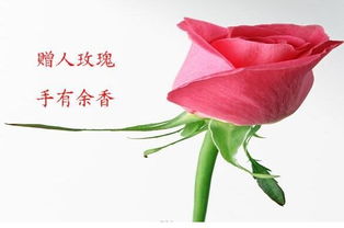 詩句,留香
