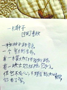 古詩(shī)中帶峰的寫男子的詩(shī)句