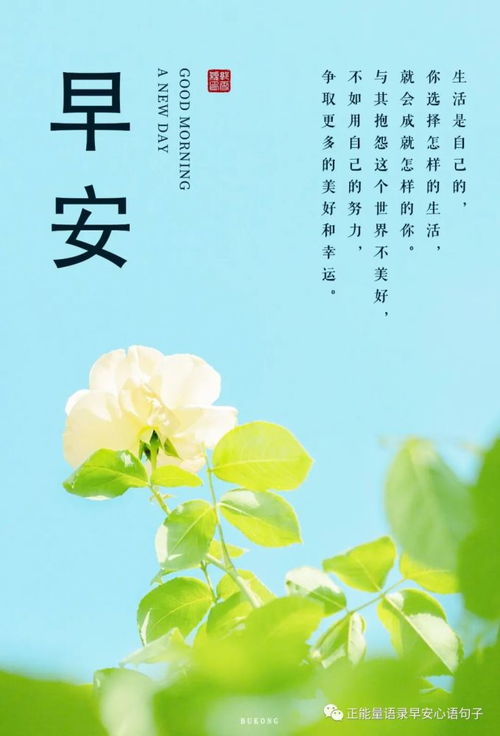 關(guān)于積極向上的古詩句,積極向上的古詩句子,積極向上的古詩句書法作品