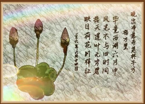 寫出有關(guān)于夏天的詩句一四級