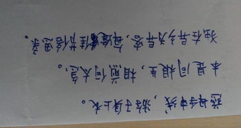 關(guān)于體現(xiàn)親情的詩(shī)句或名言