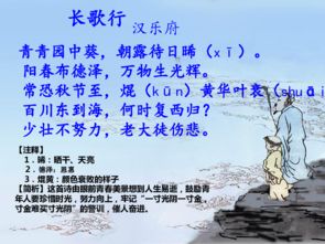 古詩75首的詩句,古詩75首思鄉(xiāng)詩句,關于丁香的詩句古詩75首
