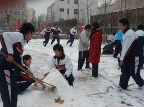 關(guān)于同學(xué)們打雪仗堆著雪人的詩(shī)句