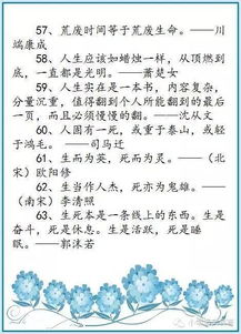 表達作文出現(xiàn)的古詩句