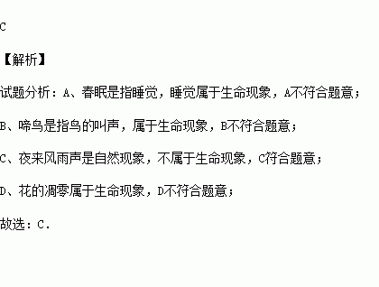 關于生命的詩句的4句詩