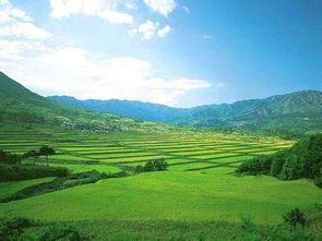 歌頌土地的古詩(shī)名句,關(guān)于土地的古詩(shī)句,歌頌奉獻(xiàn)的古詩(shī)句