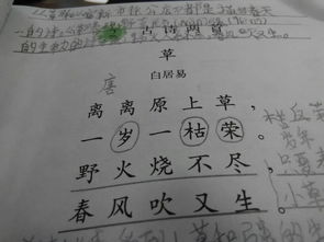 日字在古詩中意思為陽光的詩句