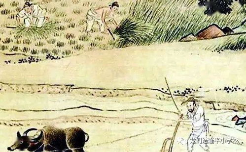 關(guān)于生活很精彩的詩句