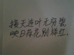 與澈有關(guān)的古詩句