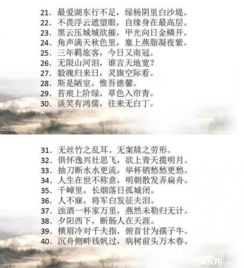 古詩,詩句,初中,重點(diǎn)