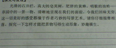 與家有關(guān)的課文及古詩(shī)句