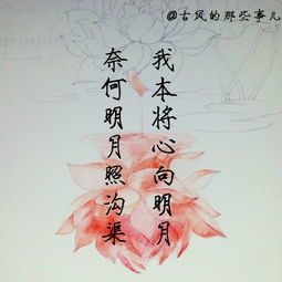 容顏老去的古詩,描寫老去的古詩,形容老了的古詩句