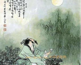 詩句,傾盡