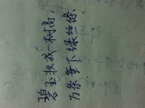 描寫(xiě)秋天美景的古詩(shī)句,描寫(xiě)秋天美景的古詩(shī)句三年級(jí),描寫(xiě)秋天美景的古詩(shī)句二年級(jí)