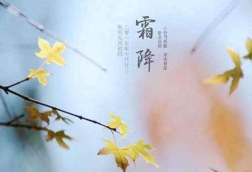 描寫霜降的詩(shī)句古詩(shī)詞,描寫霜降節(jié)氣的詩(shī)句,描寫霜降柿子的詩(shī)句