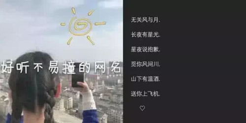 好聽的古詩(shī)情侶網(wǎng)名,好聽有意境的古詩(shī)句情侶網(wǎng)名,好聽的古詩(shī)網(wǎng)名男