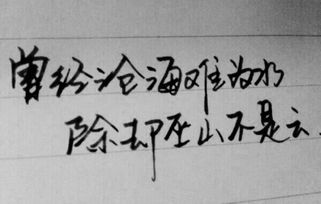 描述愛情的詩(shī)句唯美,詩(shī)經(jīng)描述愛情的詩(shī)句,描述愛情長(zhǎng)久的詩(shī)句