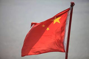 關(guān)于愛(ài)國(guó)的詩(shī)句短一點(diǎn)