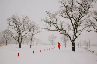 關(guān)于鄱陽(yáng)縣的詩(shī)句