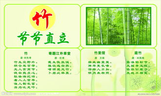 梅花蘭花的詩(shī)句古詩(shī)