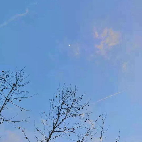 這一生關(guān)于你的風景詩句