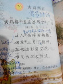 春天的詩句古詩大全,關(guān)于描寫春天的詩句古詩大全,關(guān)于春天梅花的詩句古詩大全