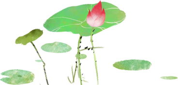 菱角,詩句