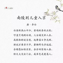 詩句,人生態(tài)度