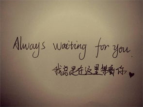 白頭偕老,詩句