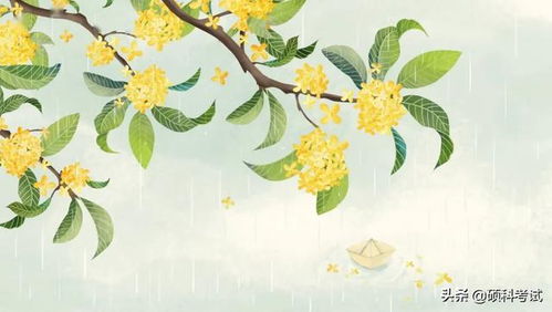 有關(guān)菊花牡丹的詩句古詩