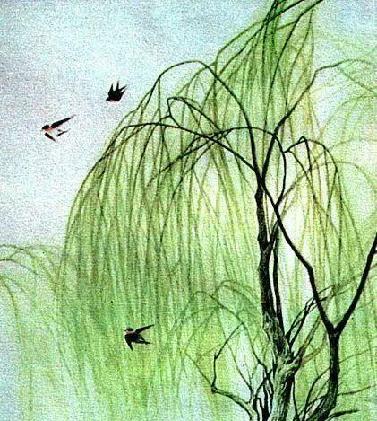 詠柳古詩寫作者的聯(lián)想的詩句是什么