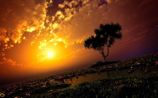 關(guān)于鄉(xiāng)村黃昏的詩句