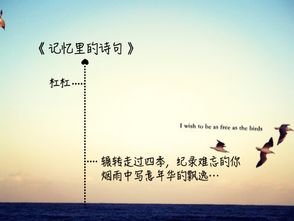 關于時間記憶的詩句