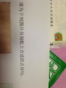 比較清新的古詩句