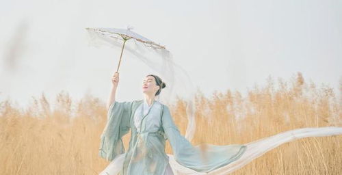 有關(guān)于思鄉(xiāng)心切的詩(shī)句