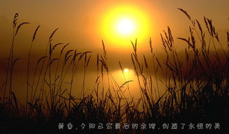 詩句,夜晚,安靜,表達(dá)