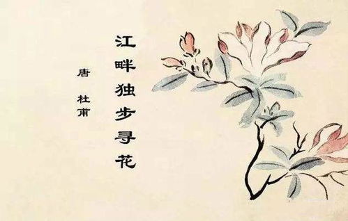 關(guān)于尋花的詩句