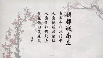 嚴善活的古詩句