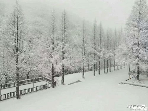 詩句,景色,于春雪