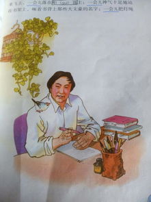關于珍珠鳥的詩句古詩