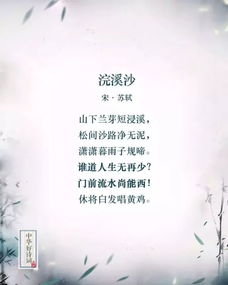 做好充分準備的名言詩句,做好服務(wù)工作的詩句,做好萬全準備的名言詩句