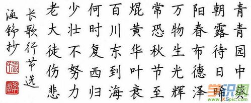 古詩,詩句,書法,欣賞