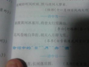 關于喻雪的詩句